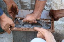 Thomas GOBLET - BRUITS Architecture